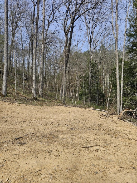 Picture 5