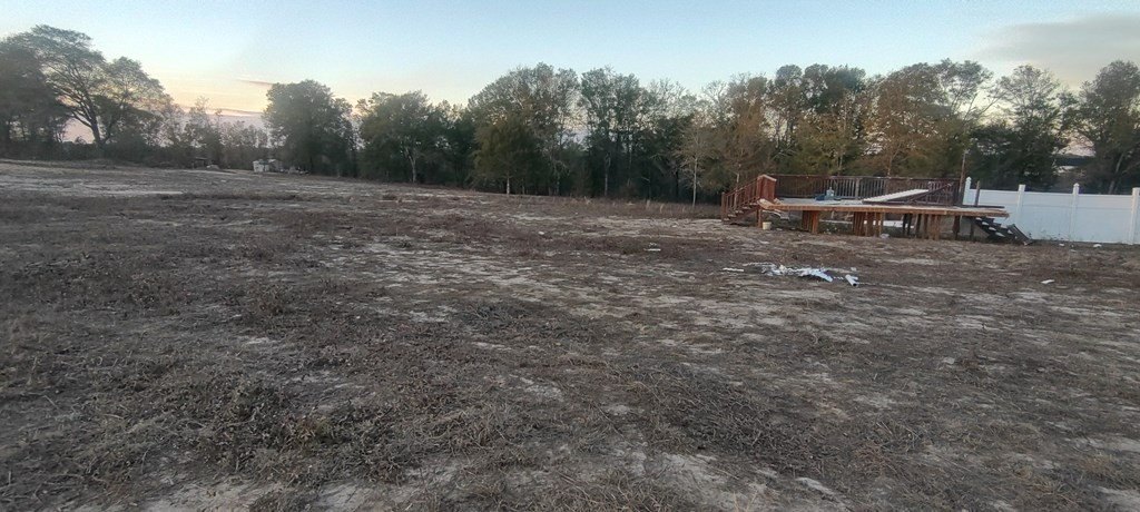 Picture 3