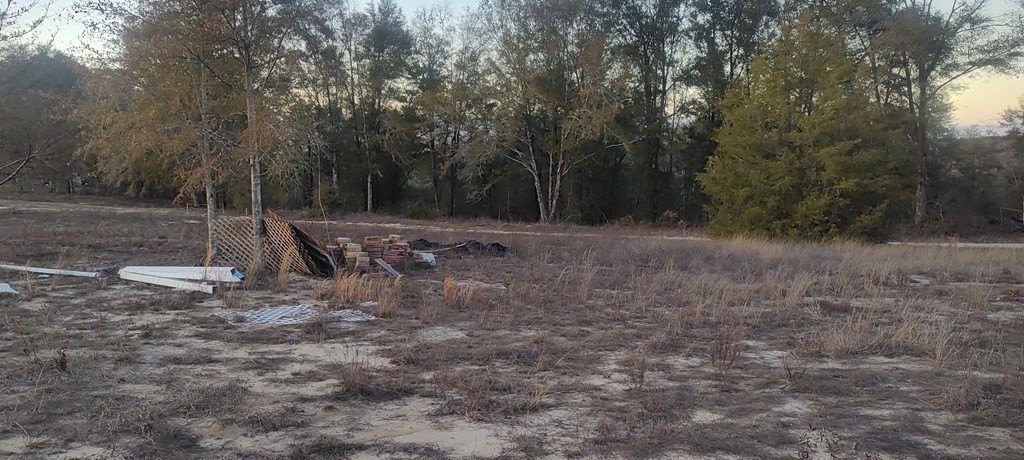 Picture 4