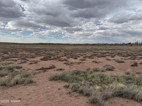 LAND - St. Johns, AZ