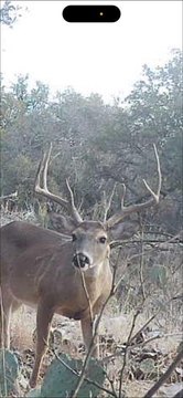 Eldorado Hunting Land with Electric Meter