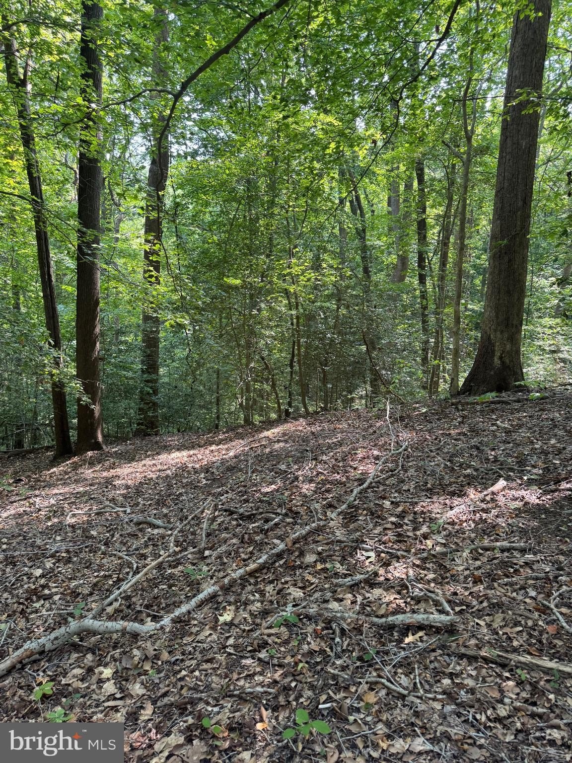 Chesapeake Beach Waterfront Land