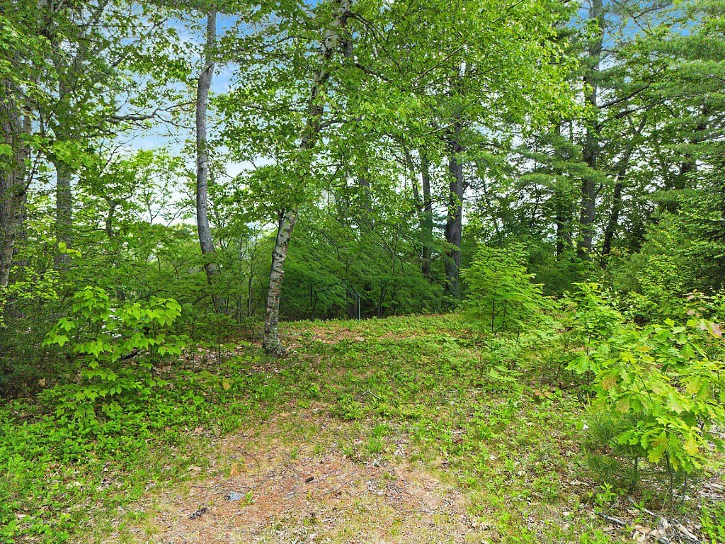 Picture 20
