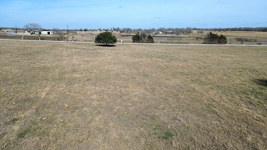Picture 8