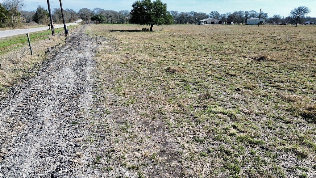Picture 6
