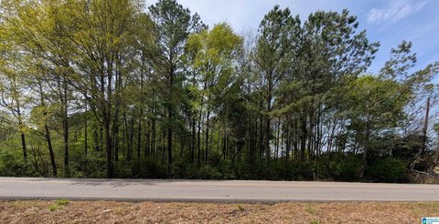 LAND/LOTS, ADGER, AL