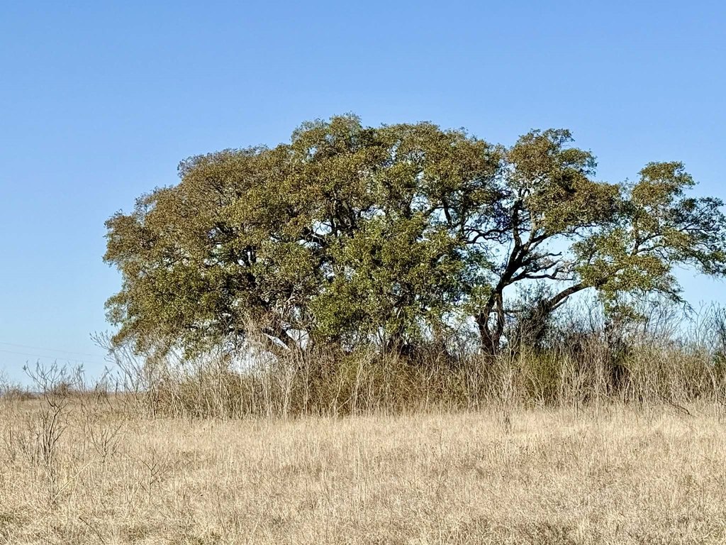 Picture 38