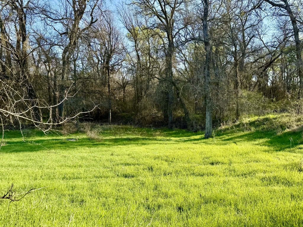 Picture 4