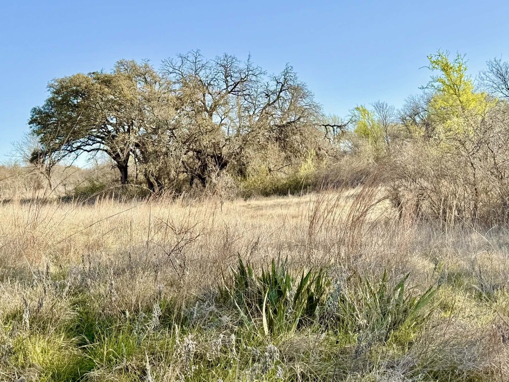 Picture 39