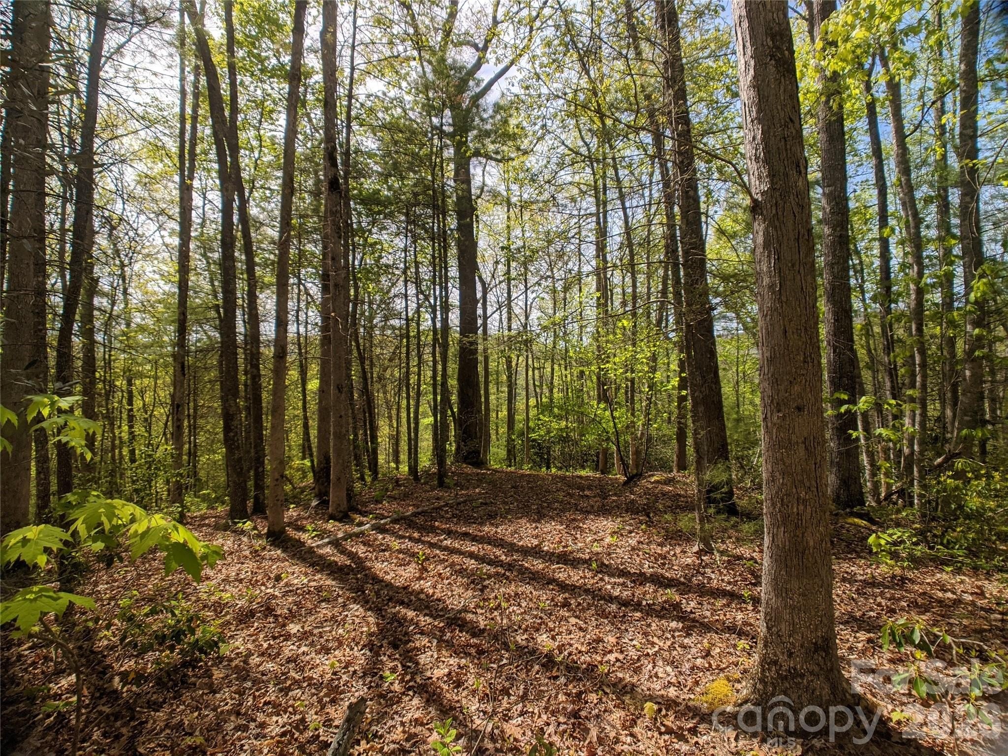 Level Homesite with Mountain Views