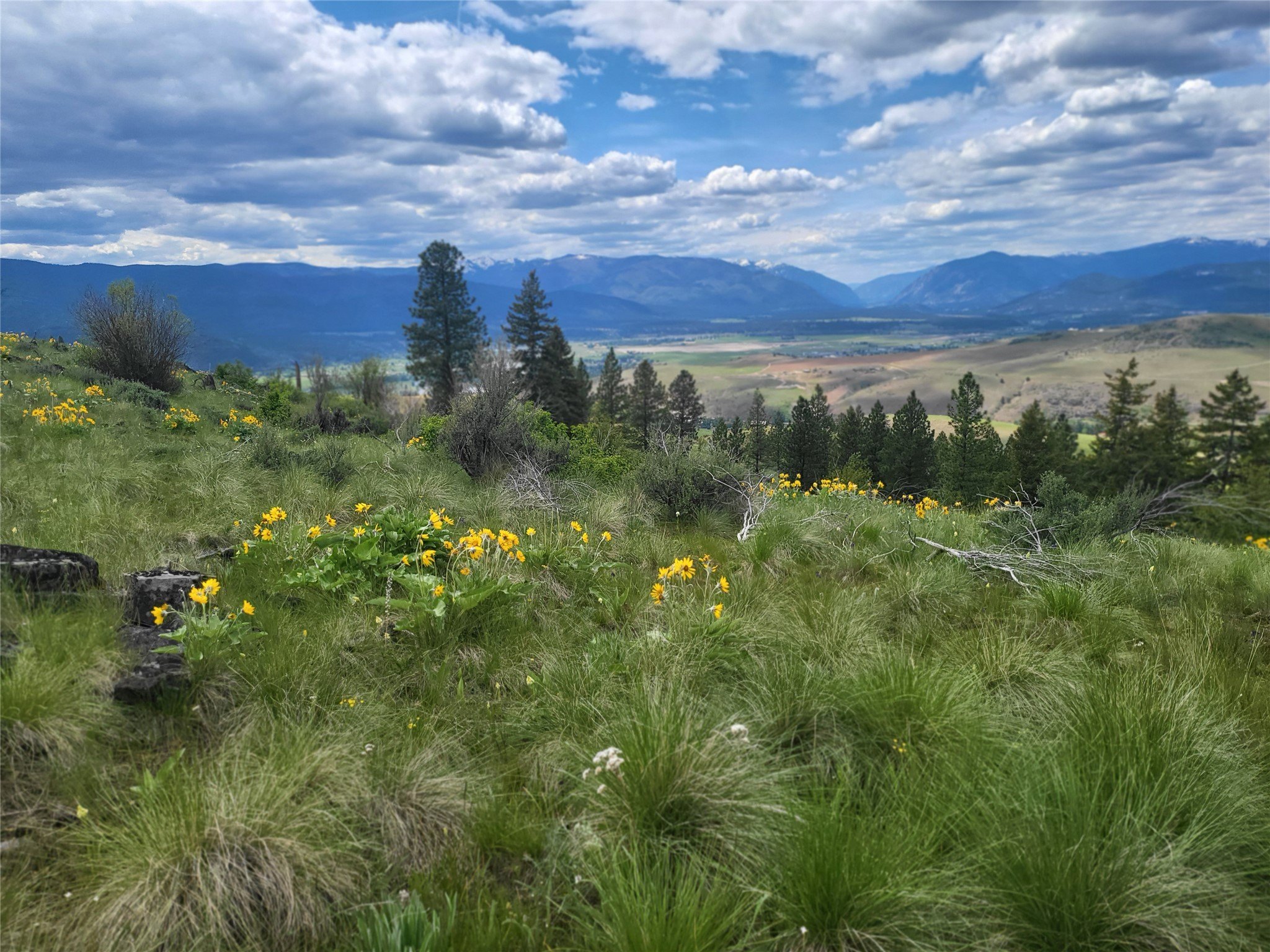 20 Acres End-of-Road Land