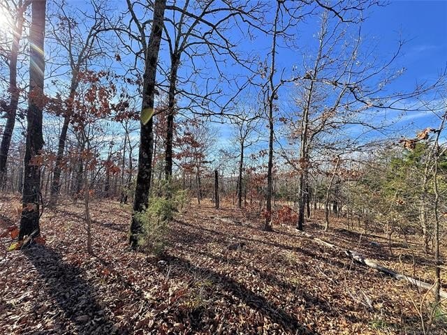 Picture 27
