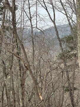 Vacant Lot, Blue Ridge, GA