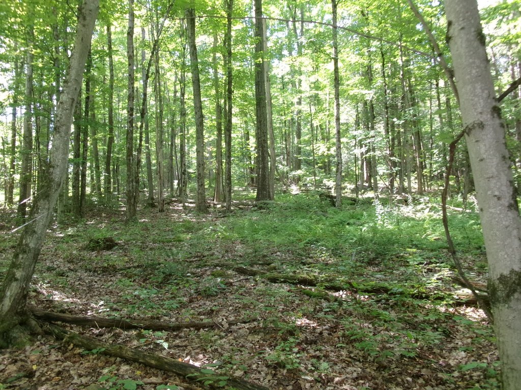 Picture 9