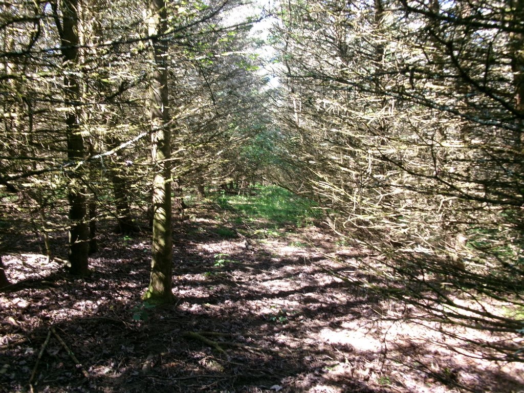 Picture 28