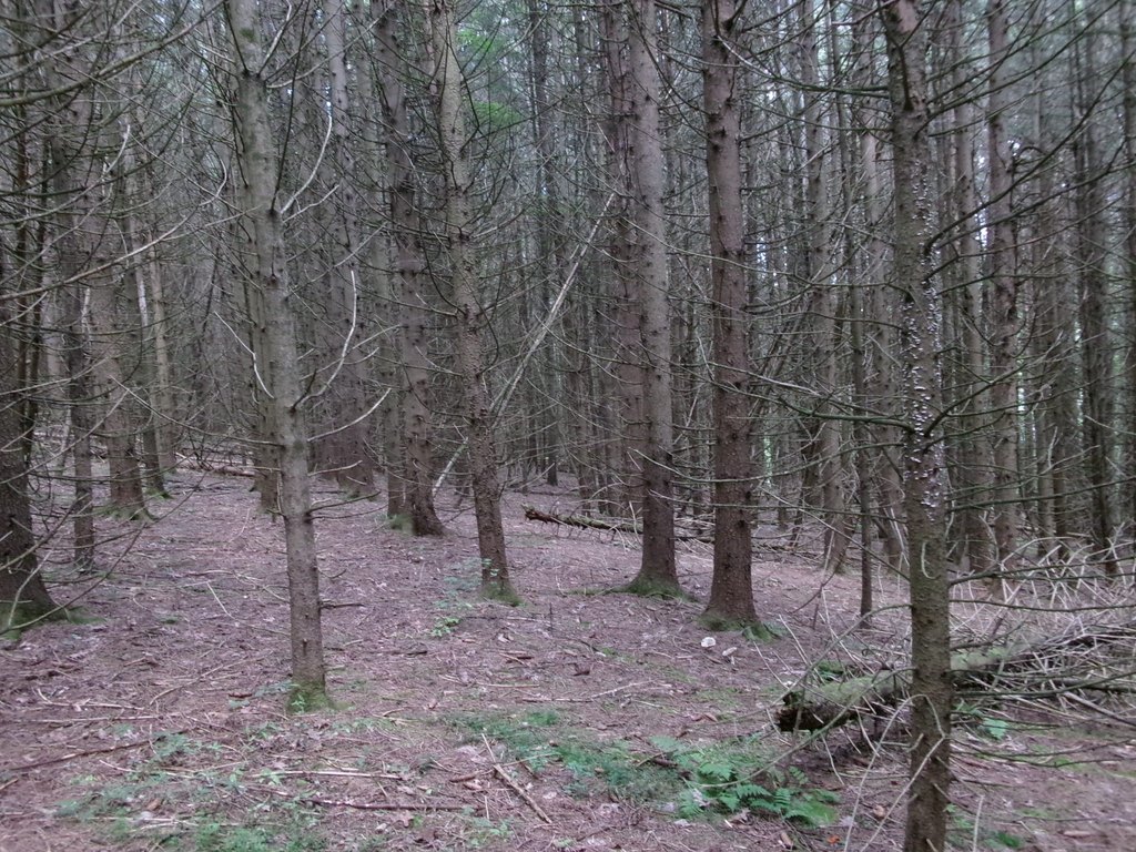 Picture 14