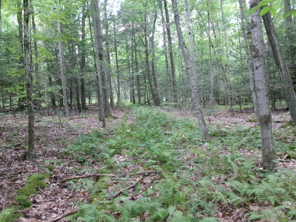 Picture 30