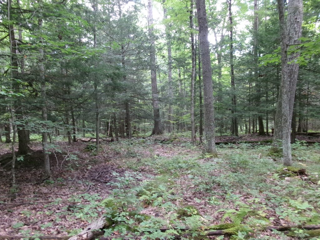 Picture 33