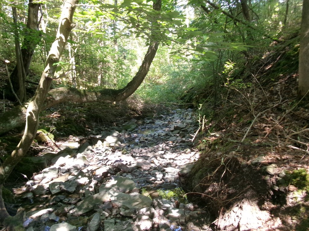 Picture 32