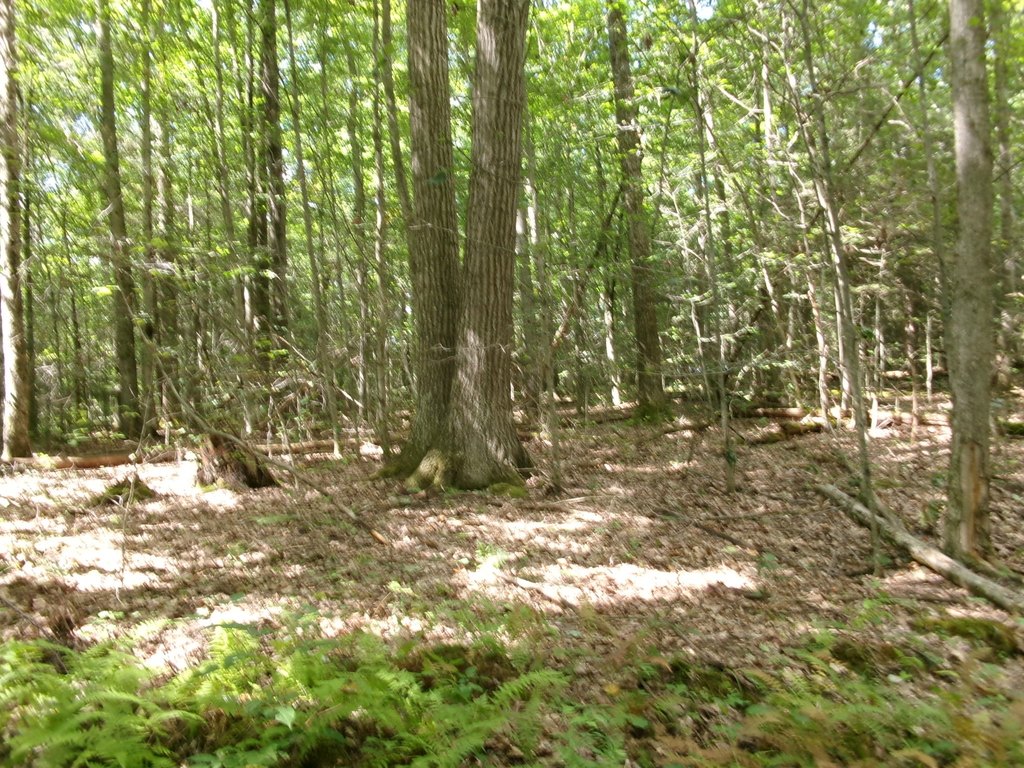 Picture 18