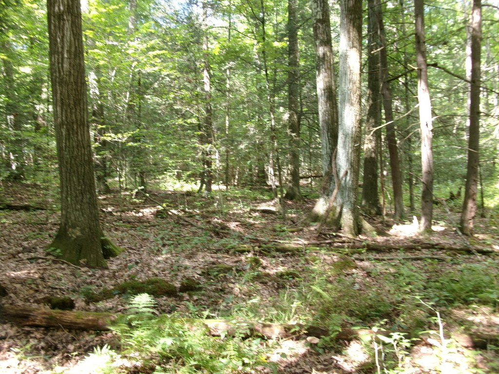 Picture 24