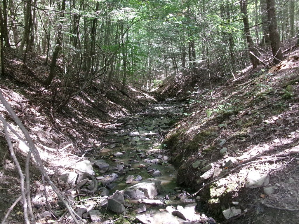 Picture 10