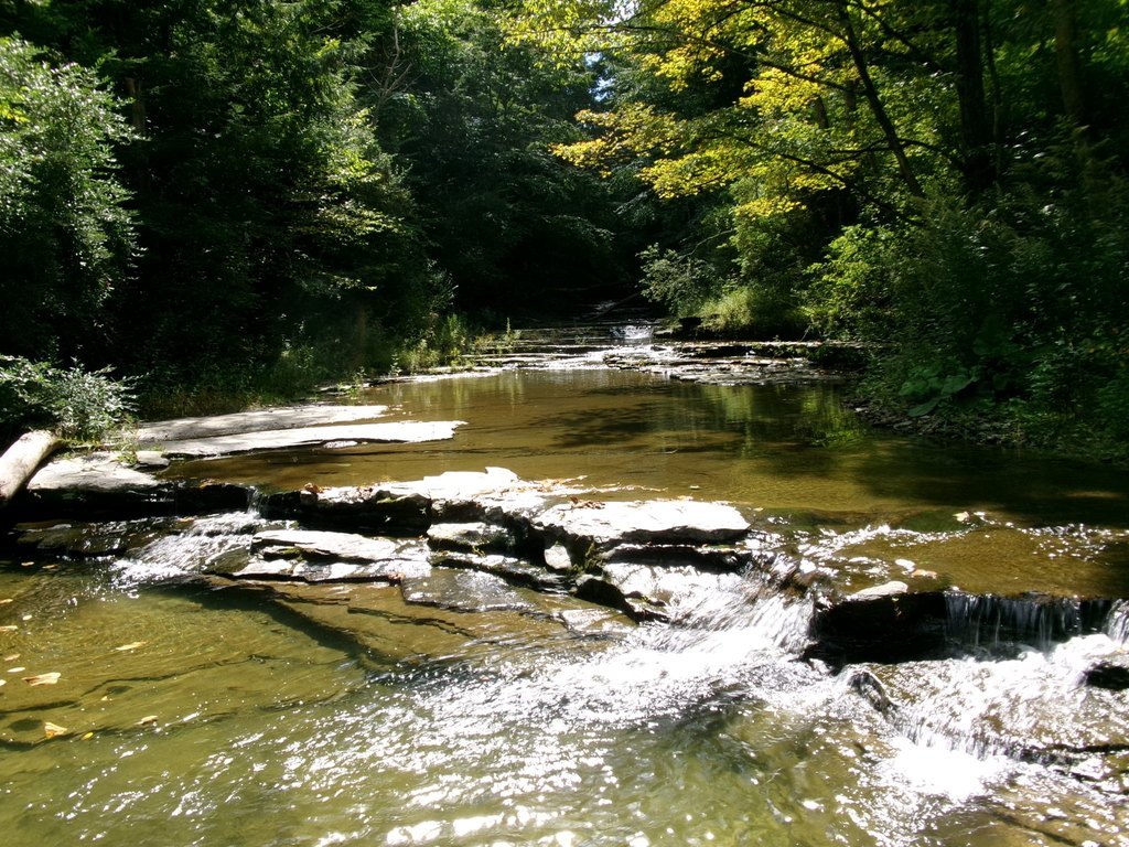 Picture 21