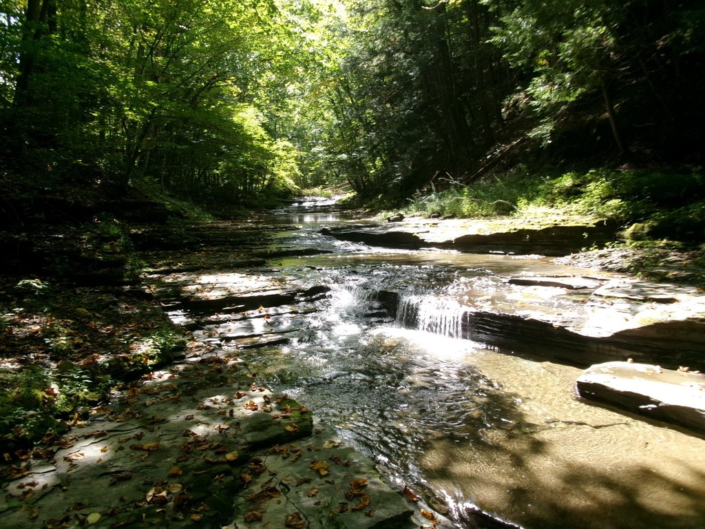 Picture 22