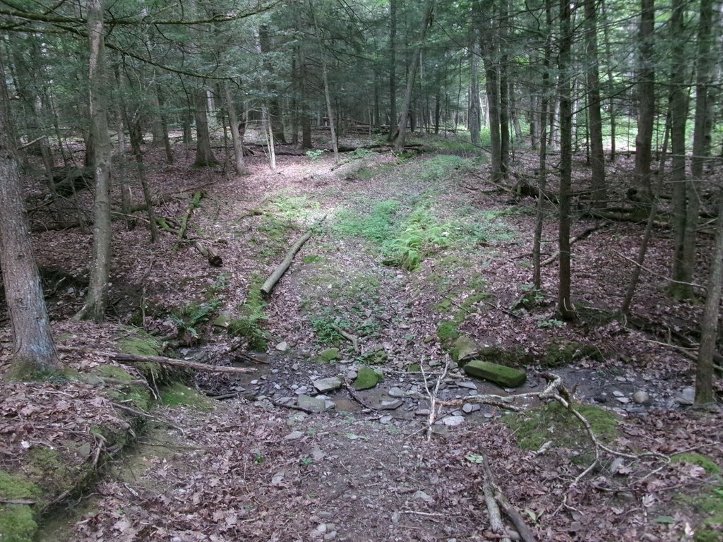 Picture 35