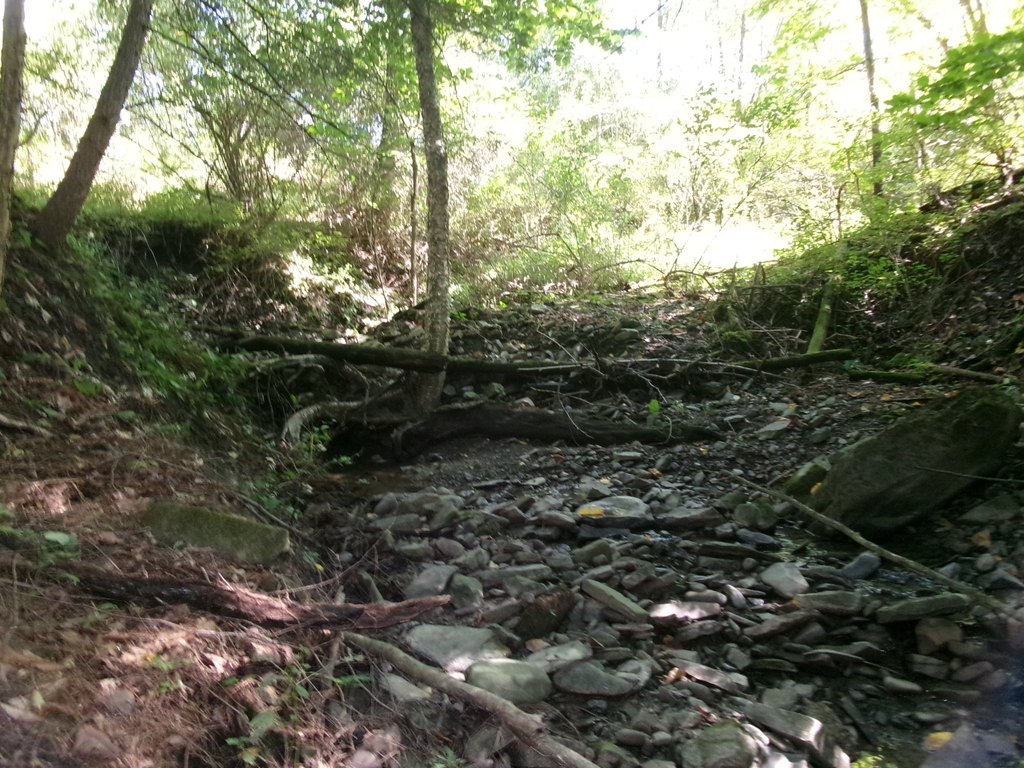 Picture 31
