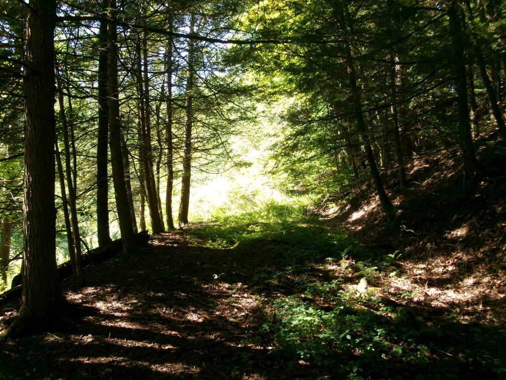 Picture 25