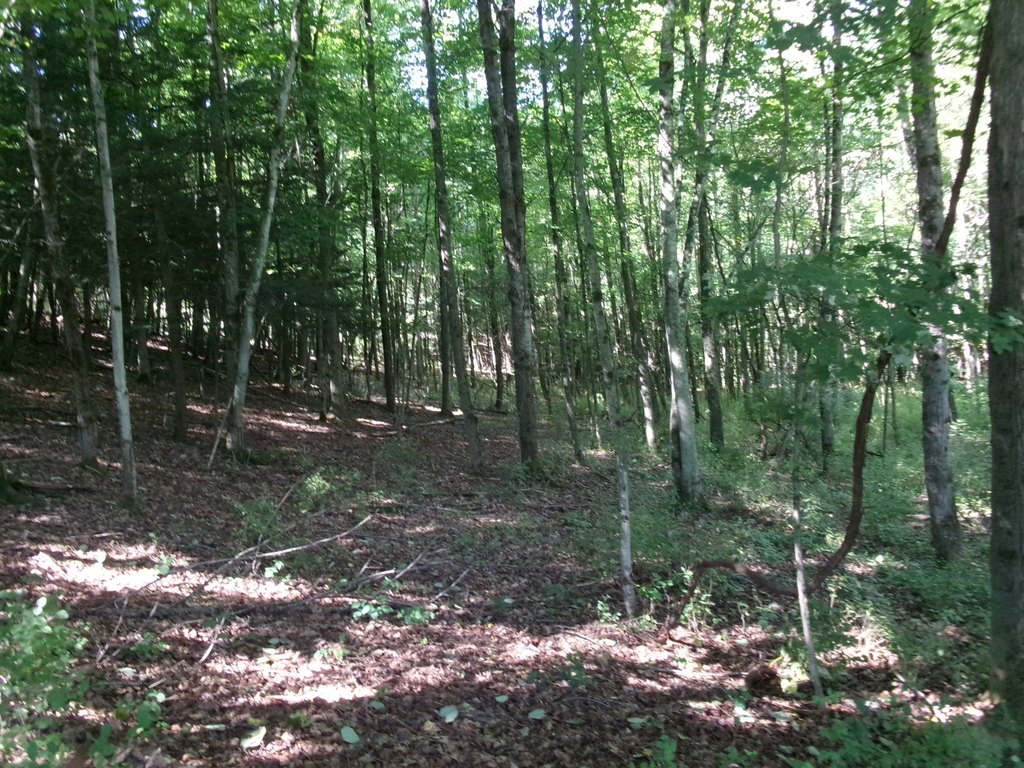 Picture 7