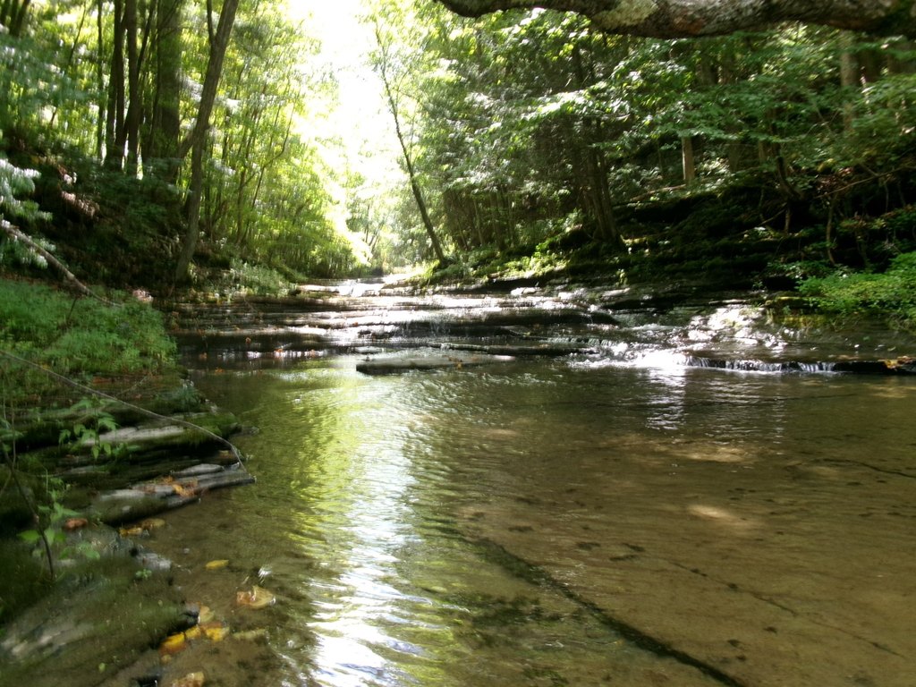 Picture 23