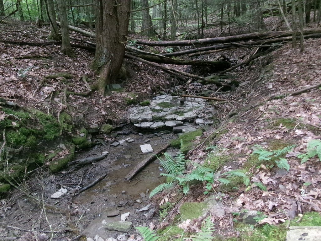 Picture 11