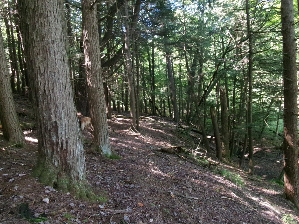 Picture 3