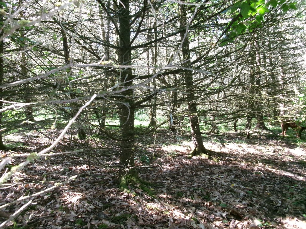 Picture 20