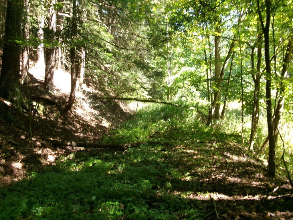 Picture 19