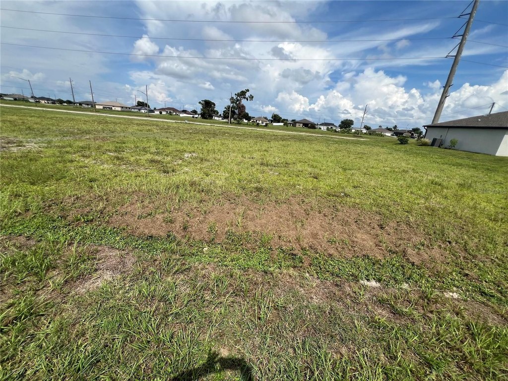 Picture 2