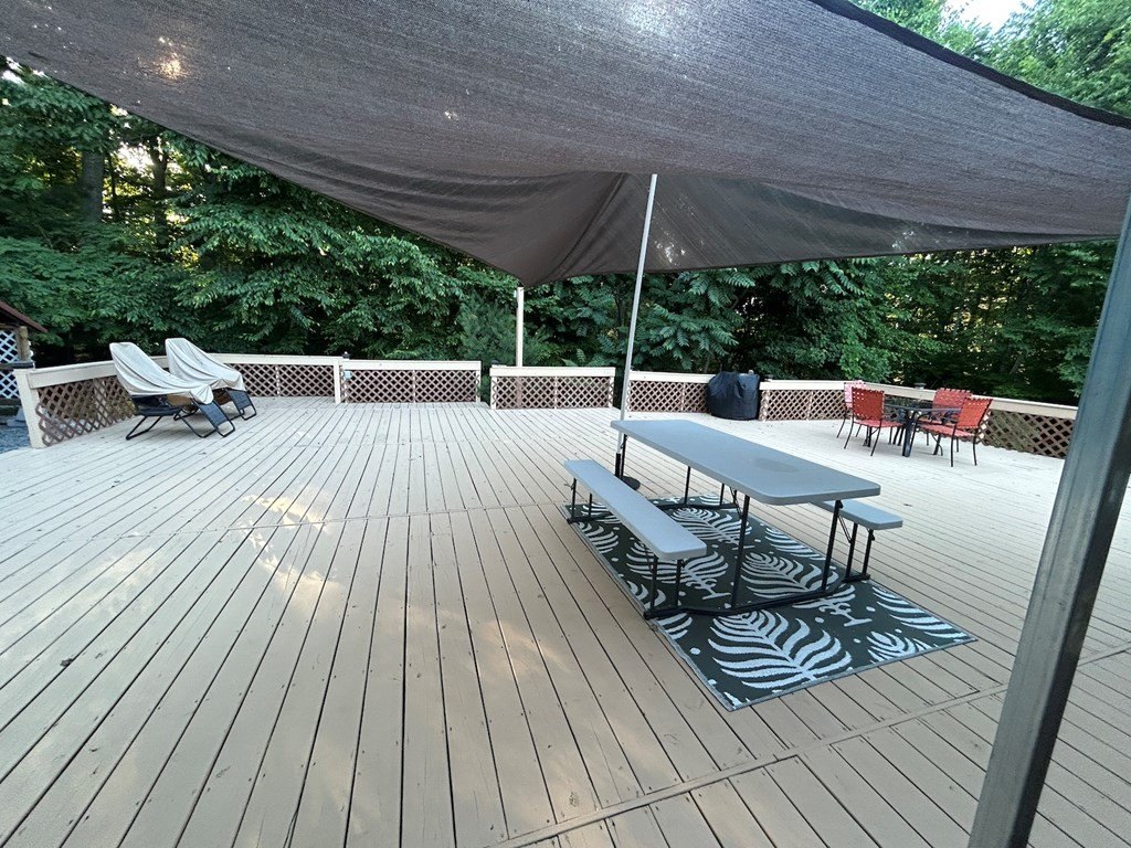 Picture 31