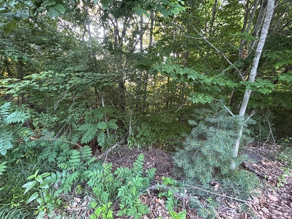 Picture 33