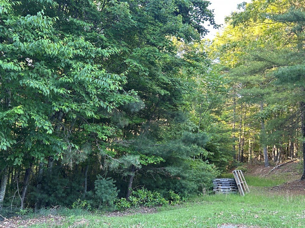 Picture 32