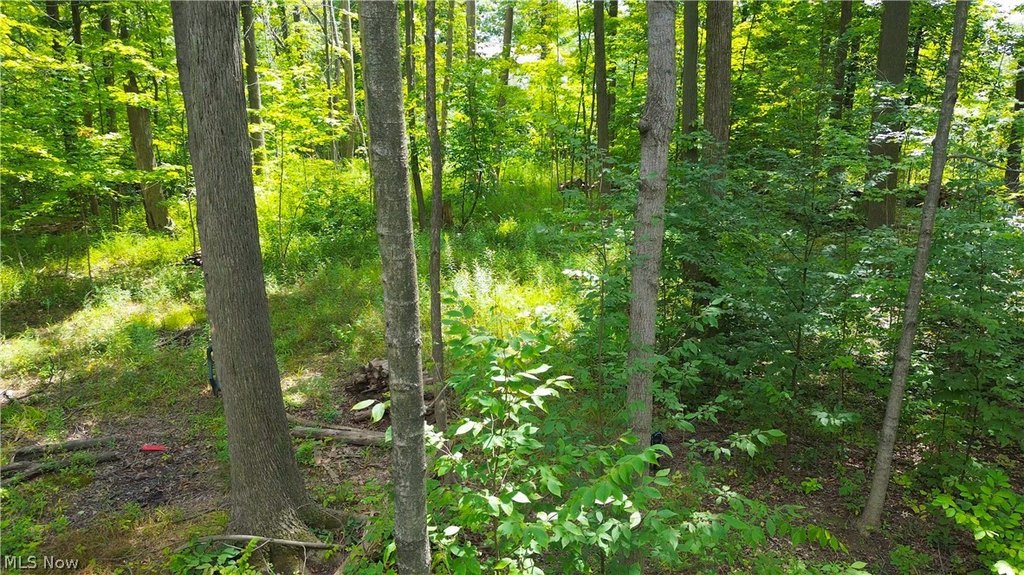 Picture 5