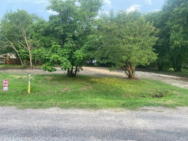 Picture 4