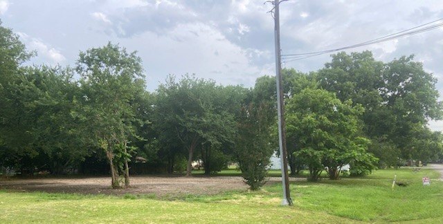 Picture 5