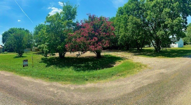 Picture 2