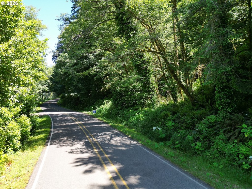 Picture 20