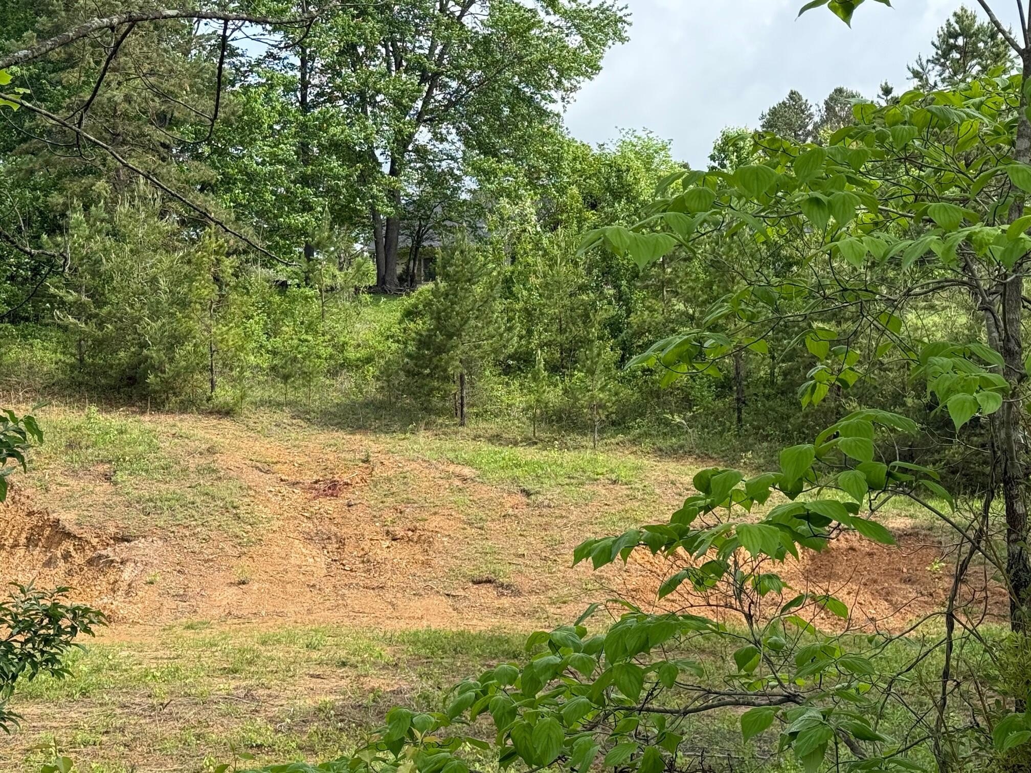 Residential Land in Corbin, KY