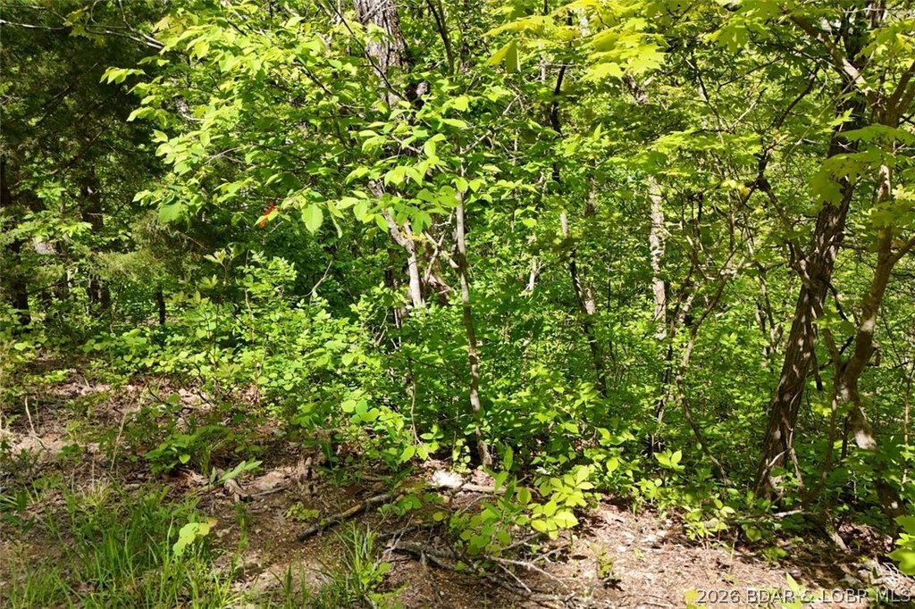 Picture 4
