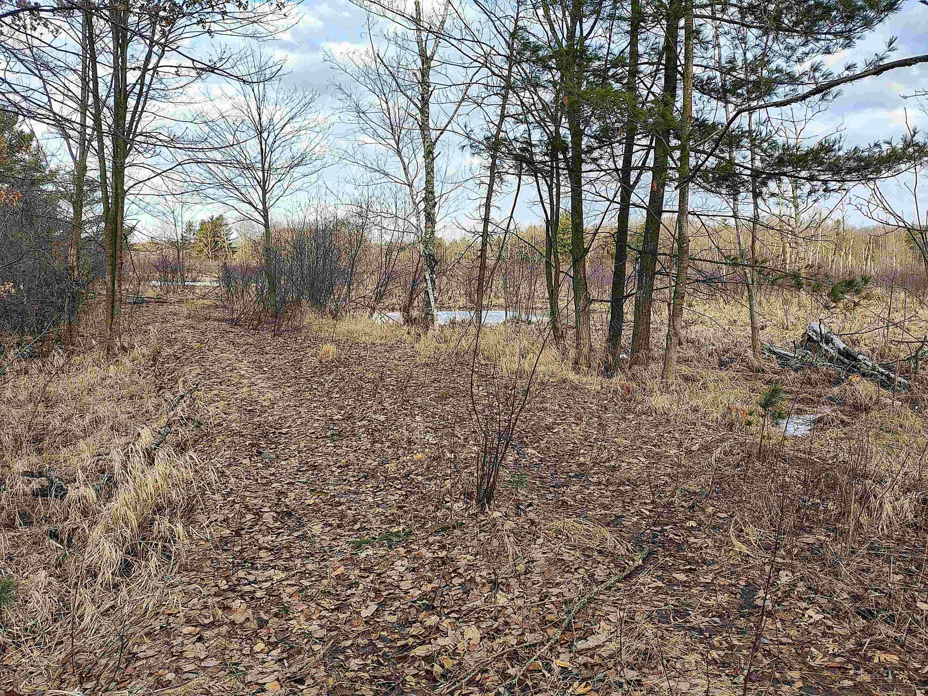 Marshfield Acreage with Creek Frontage