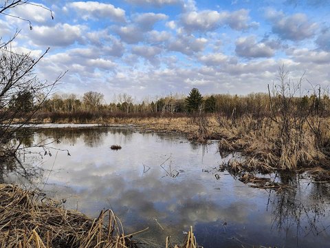 Marshfield Acreage with Creek Frontage
